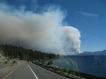 ANGORA FIRE